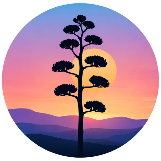 Desert Sights Consulting